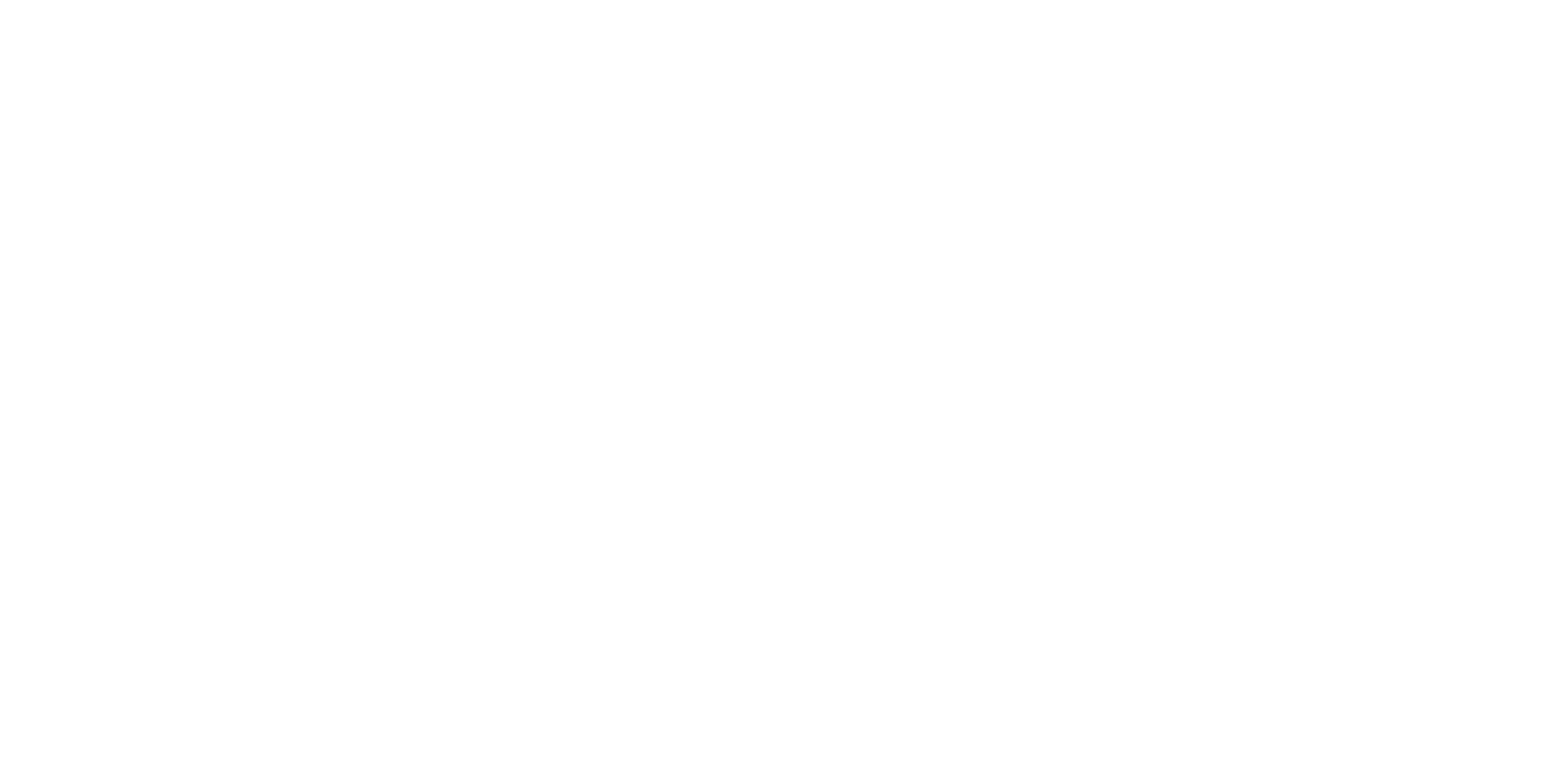 Sky Function White Logo